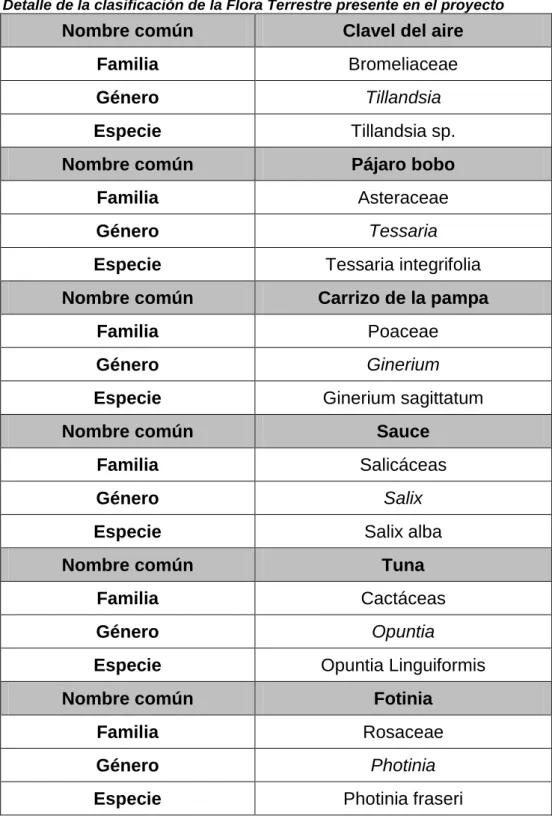 Tabla 5: Detalle de la clasificación de la Flora Terrestre presente en el proyecto 