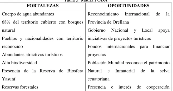 Tabla 3: Matriz FODA 