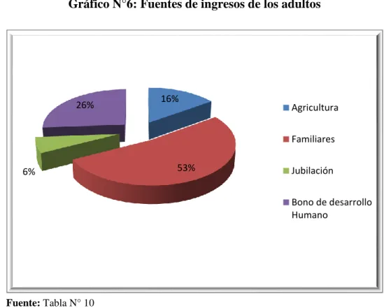 Gráfico N°6: Fuentes de ingresos de los adultos 