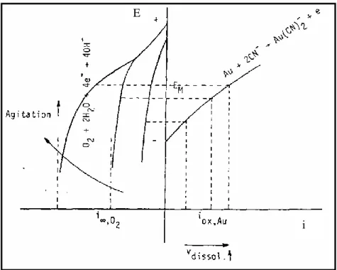 Tabla Nº 3.2.- Evaluación de la Extracción 