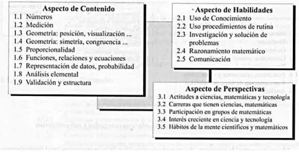 Figura 1. Marco de referencia curricular de Matemáticas. TIMMS (1998). 
