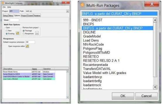 Figura 3.28. Vista de elección de paquete Multirun BNFLG a partir de CURAT_CN y BNCP.