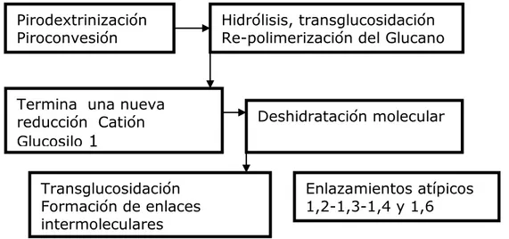 Figura 1.5. Diagrama de flujo del los mecanismos de conversión del almidón  al someterse a un tratamiento térmico de deshidratación 