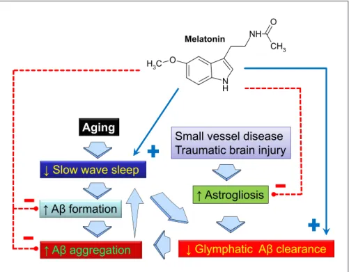 Fig. 3.  Sleep disruption, particularly of  slow-wave sleep, and altered feeding  be-havior, are frequent features in AD