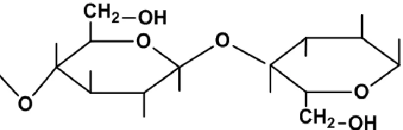 Figura 2. Cadenas de glucosa formando la celulosa, estructura principal de la fibra  de algodón