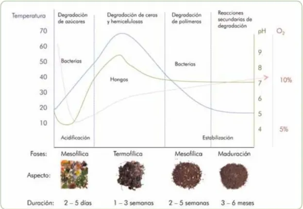 Figura 2-1: Temperatura, oxígeno y pH en el proceso de compostaje 