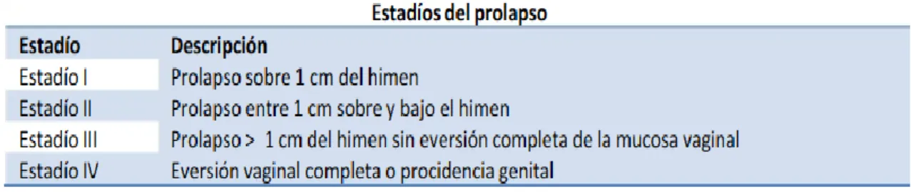 Ilustración 1 – Estadios del Prolapso 