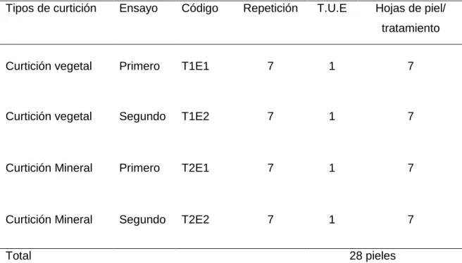 Cuadro 3.   ESQUEMA DEL EXPERIMENTO. 