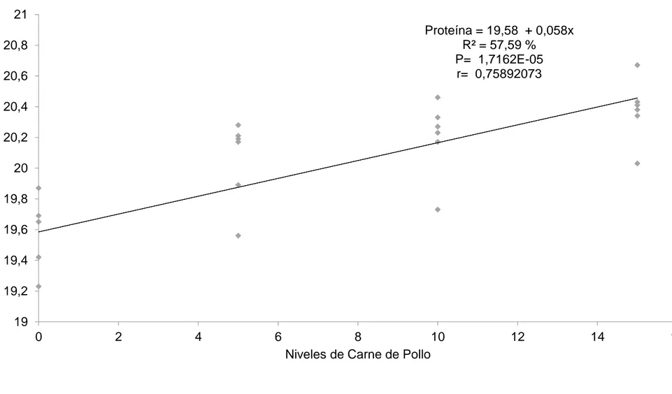 Gráfico 5.   Línea de regresión del contenido de proteína (%) del queso de cerdo elaborado con diferentes niveles de carne de pollo  (5, 10, 15 %)