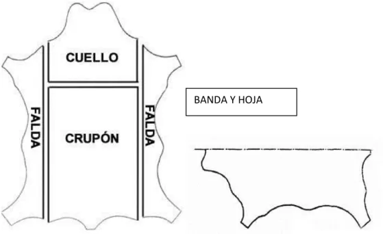 Gráfico 2.  Cruponaje de las pieles. 