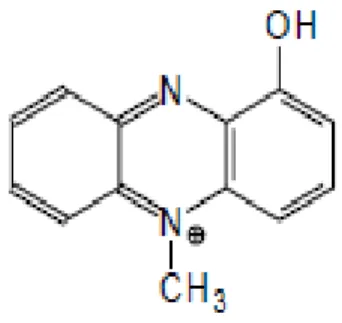 Figura 4.5. Piocianina, un derivado de fenacina producida por Pseudomonas aeruginosa, que  puede actuar como mediador redox 