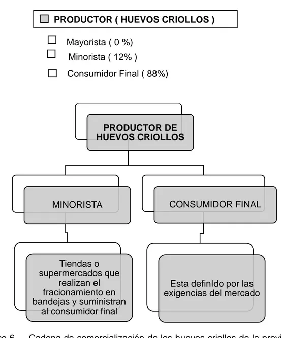 Gráfico 6.    Cadena de comercialización de los huevos criollos de la provincia de  Tungurahua