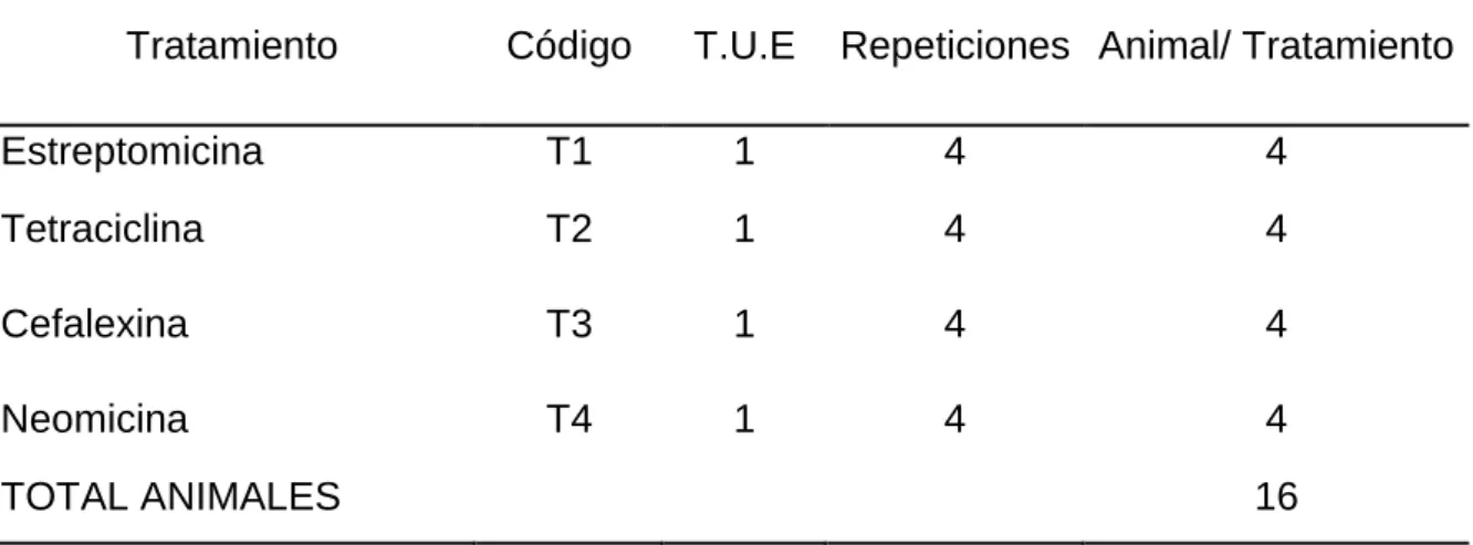 Cuadro 4.  DISEÑO DEL EXPERIMENTO. 