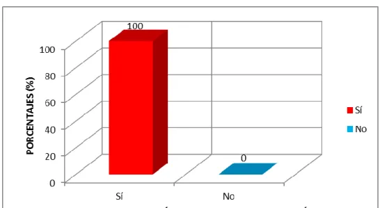 Gráfico N° 01 