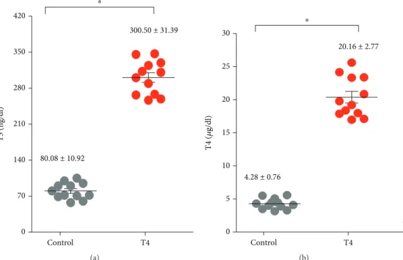 Figure 1: Evaluation of serum levels of thyroid hormones. The levels of T3 and T4 were determined by radioimmunoassay in serum samples from control mice (euthyroid) or treated with T4 (hyperthyroid), as described in Materials and Methods