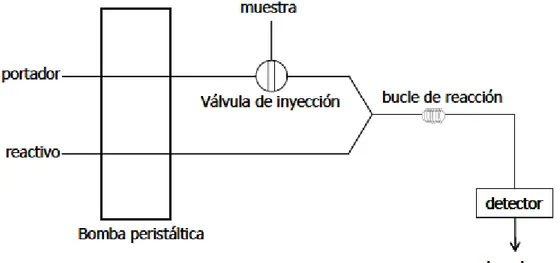 Figura 5. Representación esquemática de un sistema FIA. 
