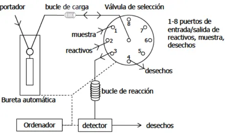 Figura 6. Representación esquemática de un sistema SIA. 