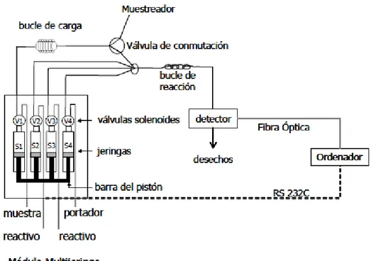 Figura 8. Representación esquemática de un sistema MSFIA. 