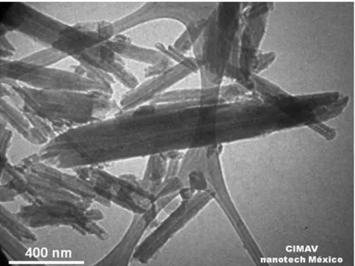 Figura 17. Micrografía del material PEDOT/HNT (R APS/EDOT  =0.5, 1500 rpm)   obtenida con el MET PHILIPS CM 220