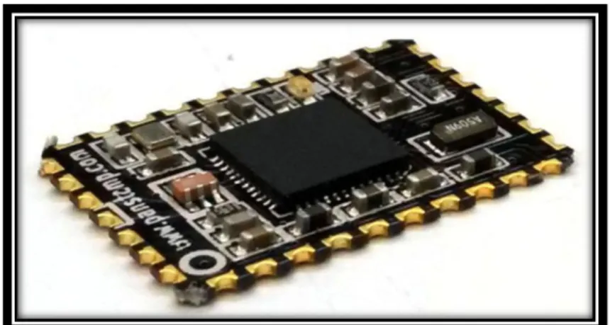 Figura 1-13    Modulo Panstamp NRG 2.0 