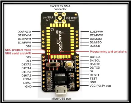 Figura 1-14    Modulo Panstick 4.0 