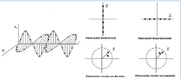 Figura 19-1 Tipos de polarización de una antena 