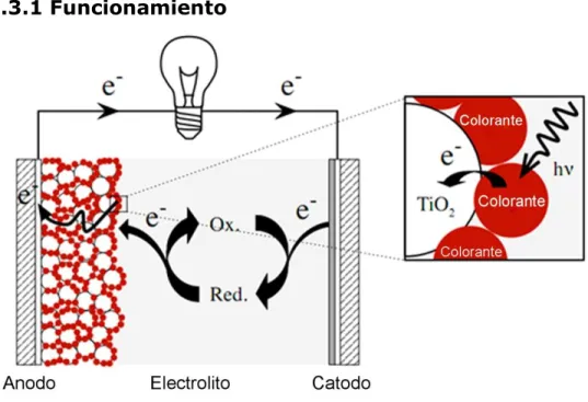 Fig. 4.3.1 Diagrama celda DSSC 