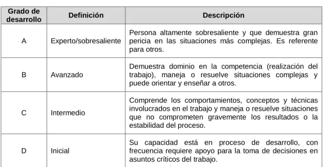 Tabla 2. Grados de desarrollo de las competencias 
