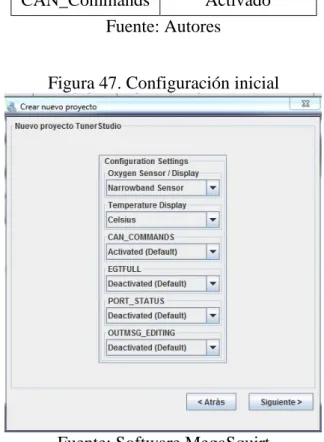 Tabla 11. Parámetros del proyecto  Sensor de oxígeno  Narrowband sensor 