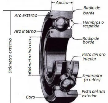Figura 21. Componentes de un Rodamiento de Bolas Típico. 