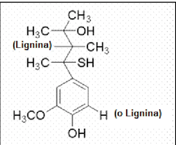 Figura 2. Unidad estructural de la lignina Kraft propuesta por Sigma Aldrich