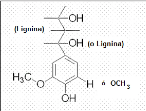 Figura 4. Unidad estructural de la lignina Organosolv propuesta por Sigma Aldrich  obtenida de madera dura por etanolisis