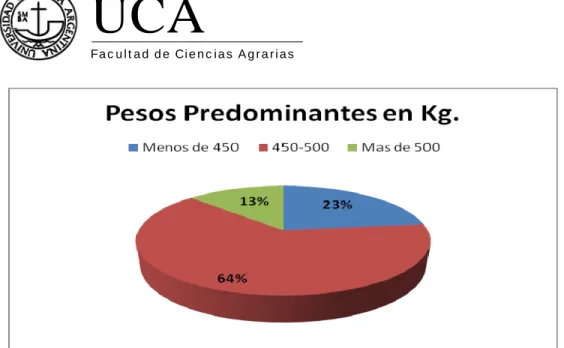 Gráfico 2. Score Corporal   
