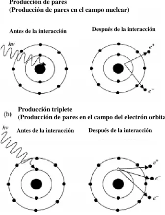 Figura 17:a) Esquematización de la producción de pares y b) Esquematización de la producción triplete