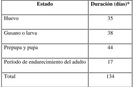 Tabla Nº 1. Tiempo de duración de cada estado del gusano blanco. 