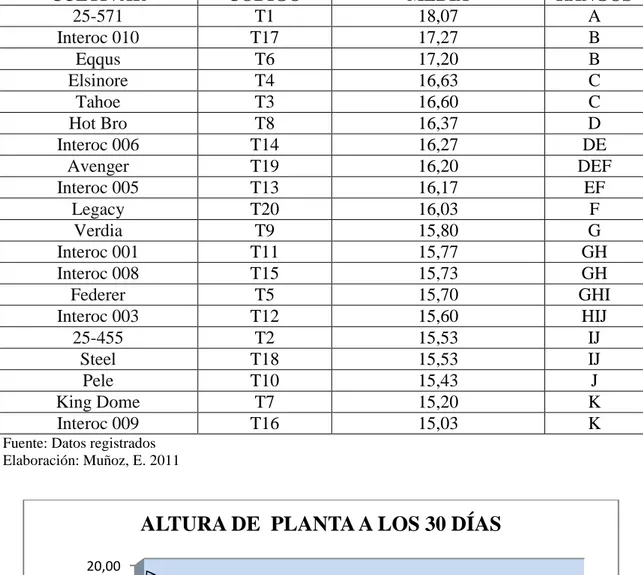 GRÁFICO  5.  ALTURA  DE  PLANTA  A  LOS  30  DÍAS  DESPUÉS  DEL  TRASPLANTE 0,005,0010,0015,0020,00T1T17T6T4T3T8 T14 T19 T13 T20 T9 T11 T15 T5 T12 T2 T18 T10 T7 T1618,0717,2717,2016,6316,6016,3716,2716,2016,1716,0315,8015,7715,7315,7015,6015,5315,5315,4315