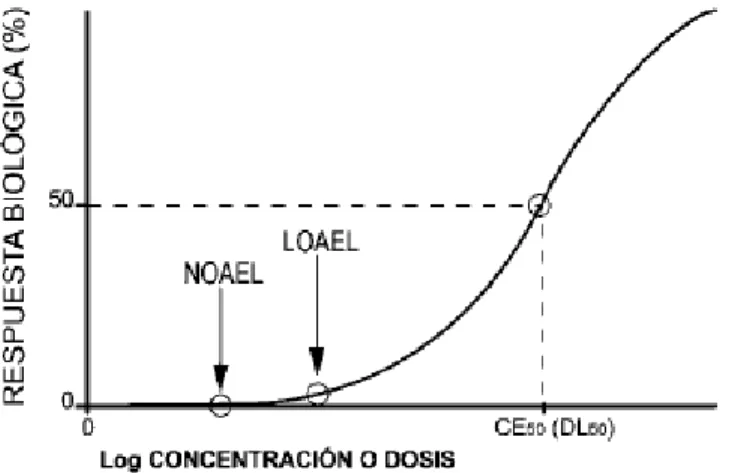 Figura  2  Representación  gráfica  de  la  toxicidad  (NOAEL,  LOAEL  y  DL 50 )  de  un  producto  Químico (Pastor S., et al, 2003)