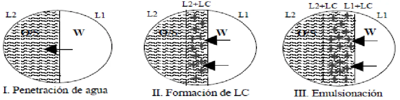 Figura  2.2.-  Representación  esquemática  de  emulsificación  espontánea  (LC  =  cristal líquido laminar)