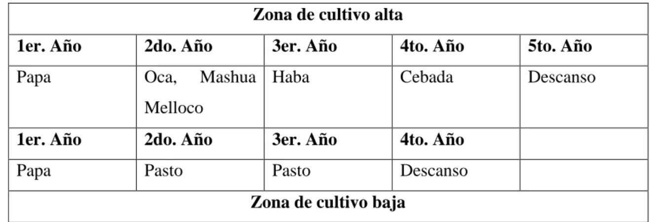 Cuadro Nº 6: Rotación de cultivos 