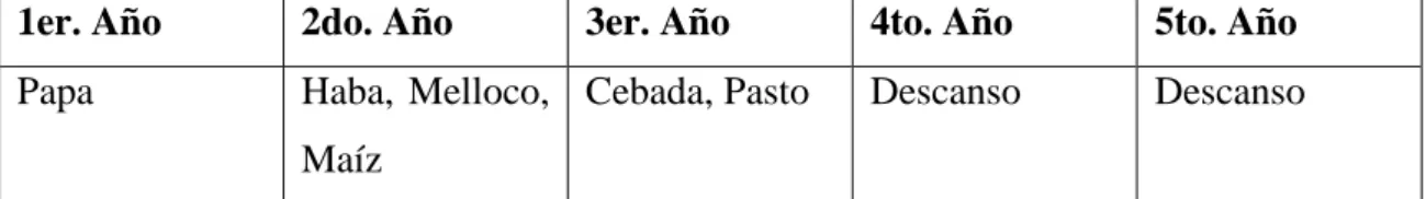 Cuadro Nº 7: Rotación de cultivos por parcelas. 