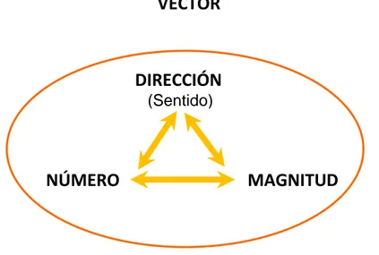 Figura  1.  Muestra  los  elementos  de  la  triada  implícitos  en  la  definición  formal  de  vector y las posibles interrelaciones entre dichos elementos