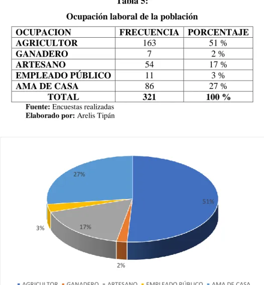 Gráfico 5 : Ocupación laboral de la población 