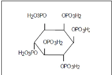 Figura  06   mioinositol 1,2,3,4,5,6-hexafosfato 