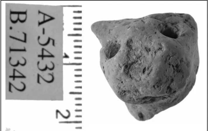 Fig. 8. Lion Head B71342 – front (photo Clara Amit).
