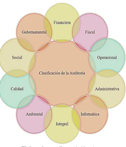 Gráfico 1: Clasificación de la Auditoría 