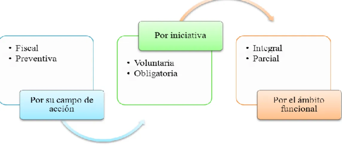 Gráfico 2: Clasificación de la Auditoría Tributaria 