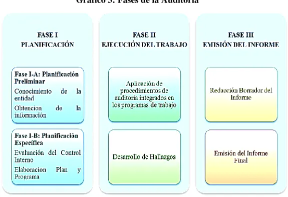 Gráfico 3: Fases de la Auditoría 