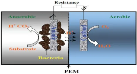 Figura 1.- Funcionamiento de una Celda de Combustible Microbiano 