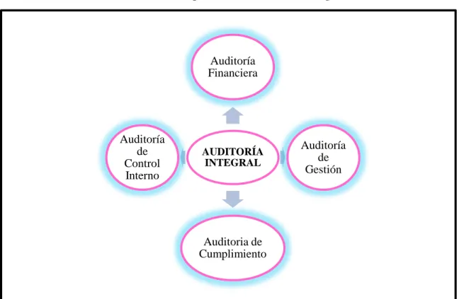 Gráfico 1: Componentes de la Auditoría Integral 