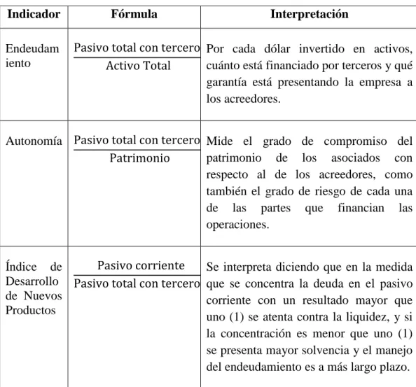Tabla 4: Indicadores de endeudamiento 